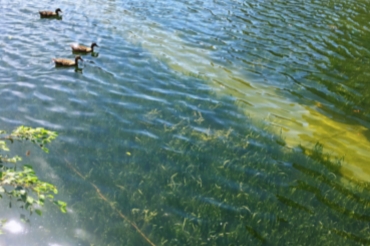 水環(huán)境修復